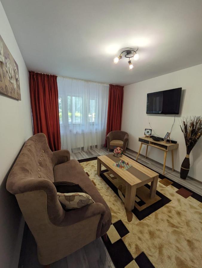 Apartamentul Alfa Slănic-Moldova Esterno foto