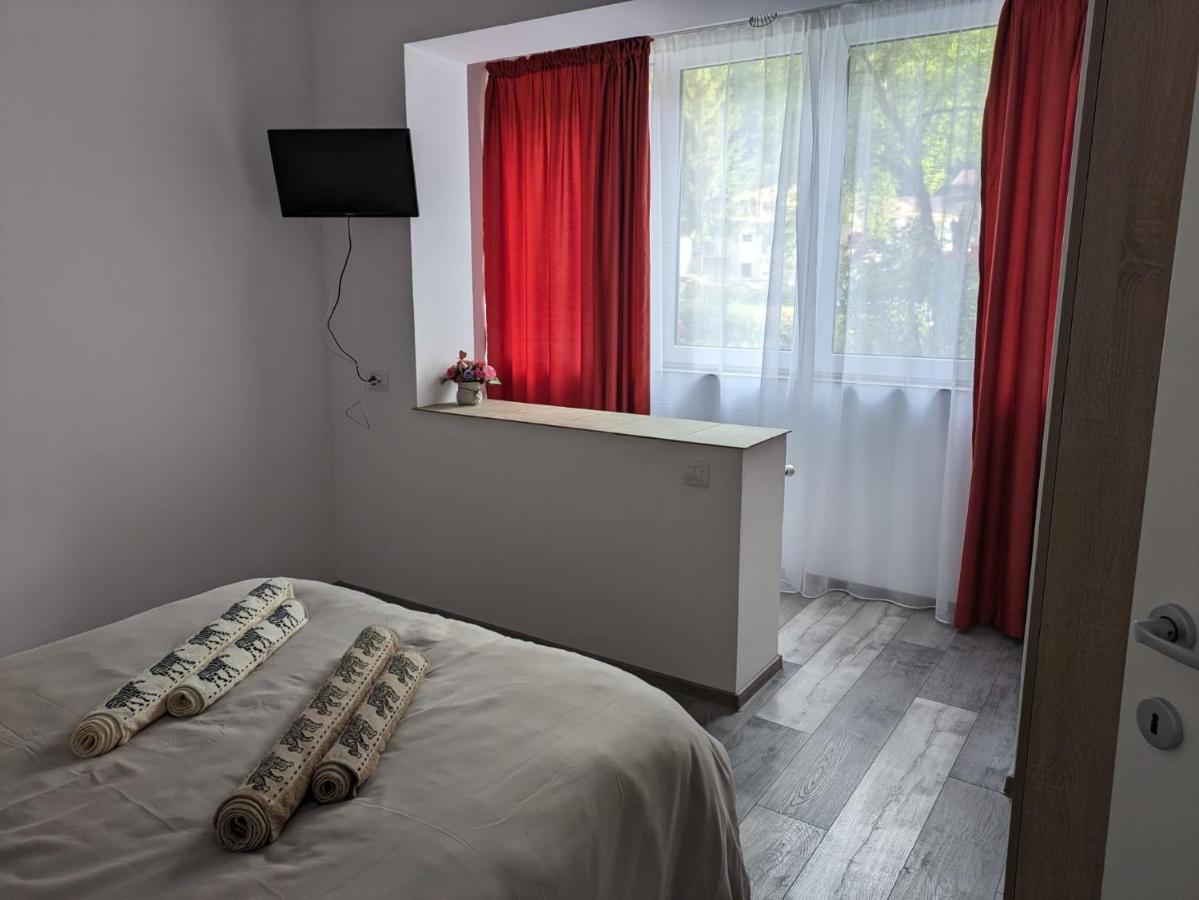 Apartamentul Alfa Slănic-Moldova Esterno foto