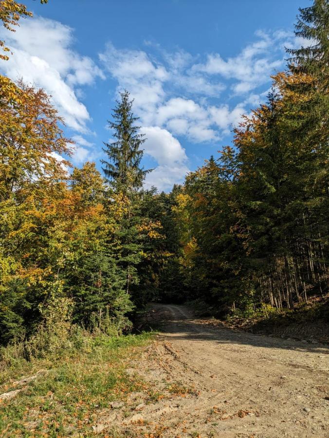 Apartamentul Alfa Slănic-Moldova Esterno foto